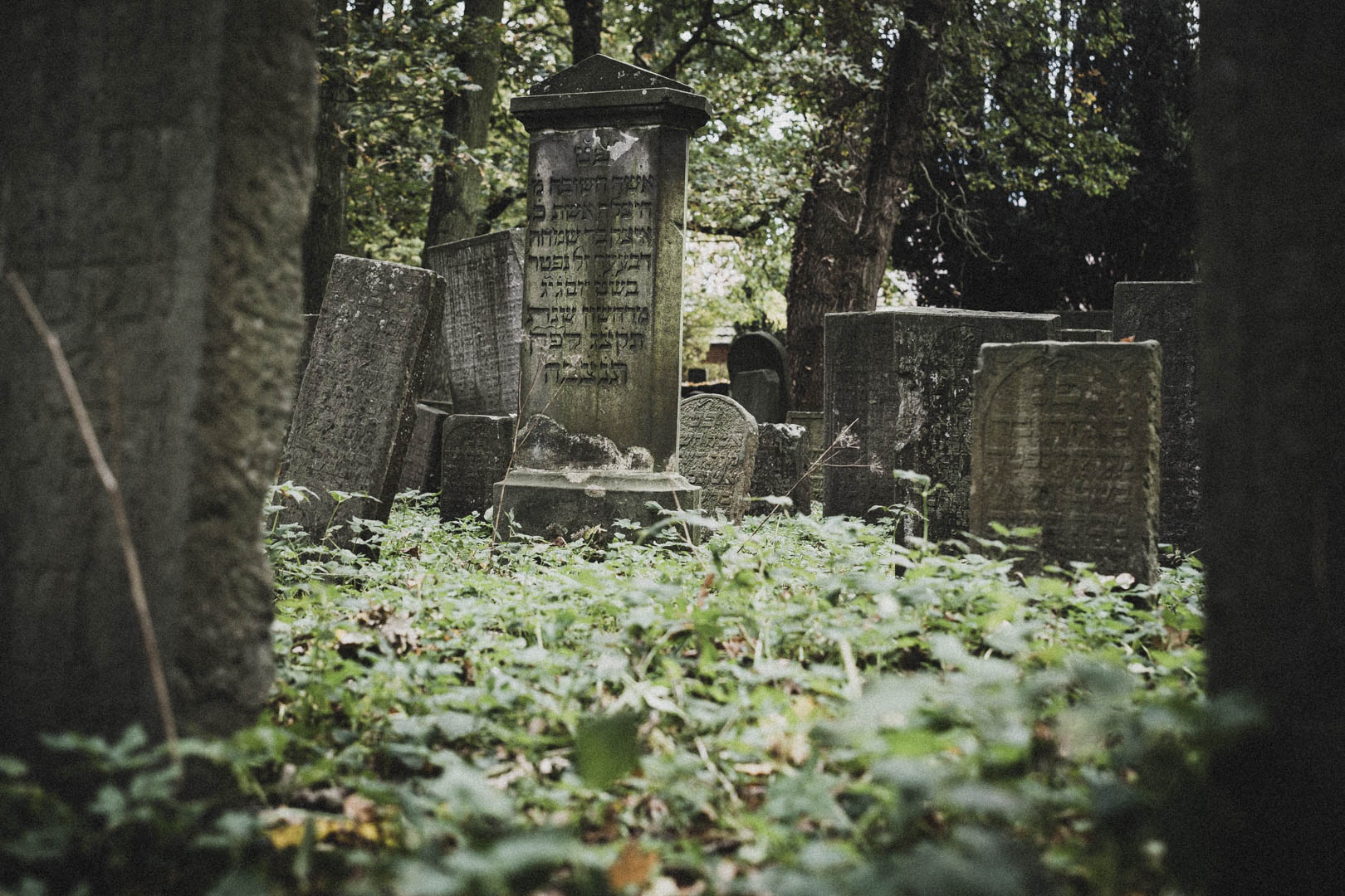 Emden, Jüdischer Friedhof